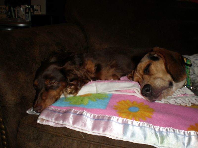zoey2011-161.JPG
