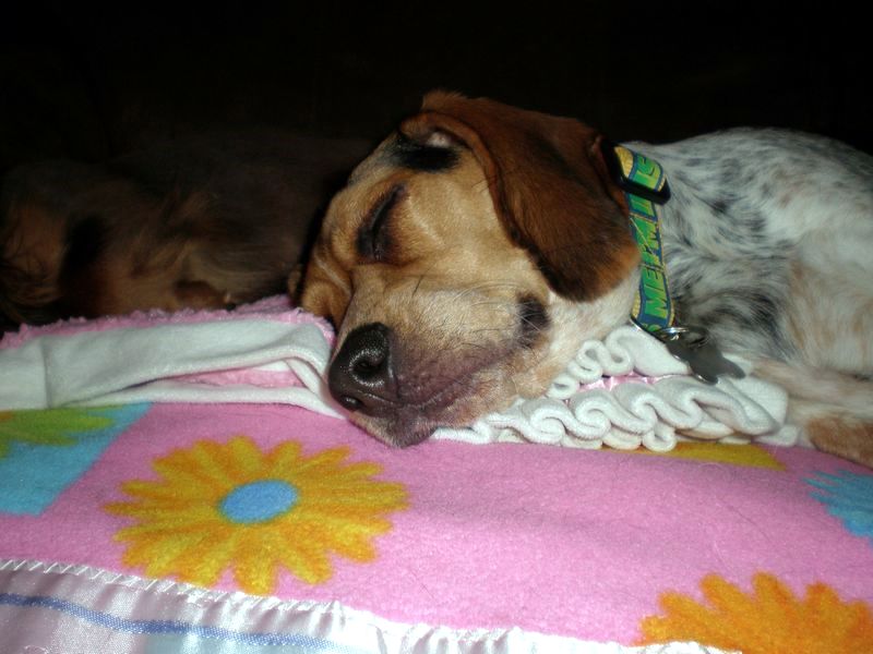 zoey2011-162.JPG