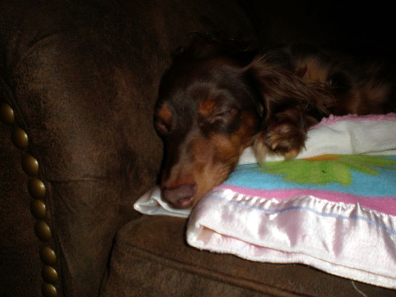 zoey2011-163.JPG