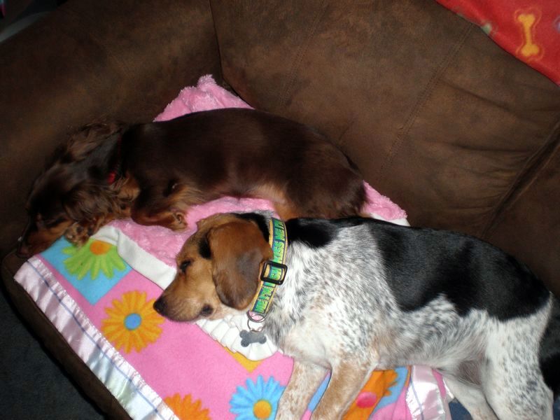 zoey2011-164.JPG