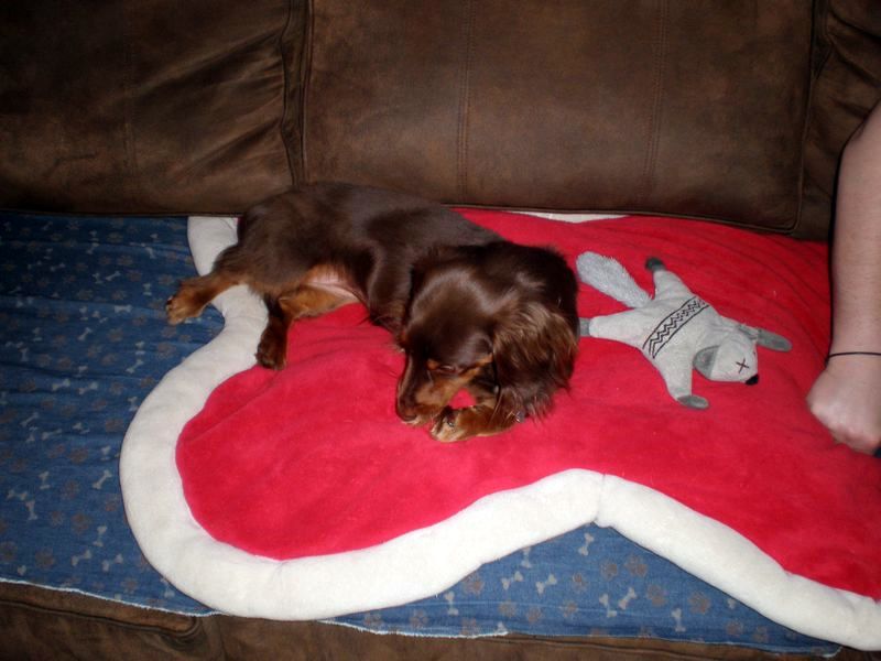 zoey2011-172.JPG
