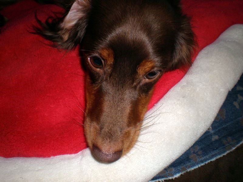 zoey2011-175.JPG