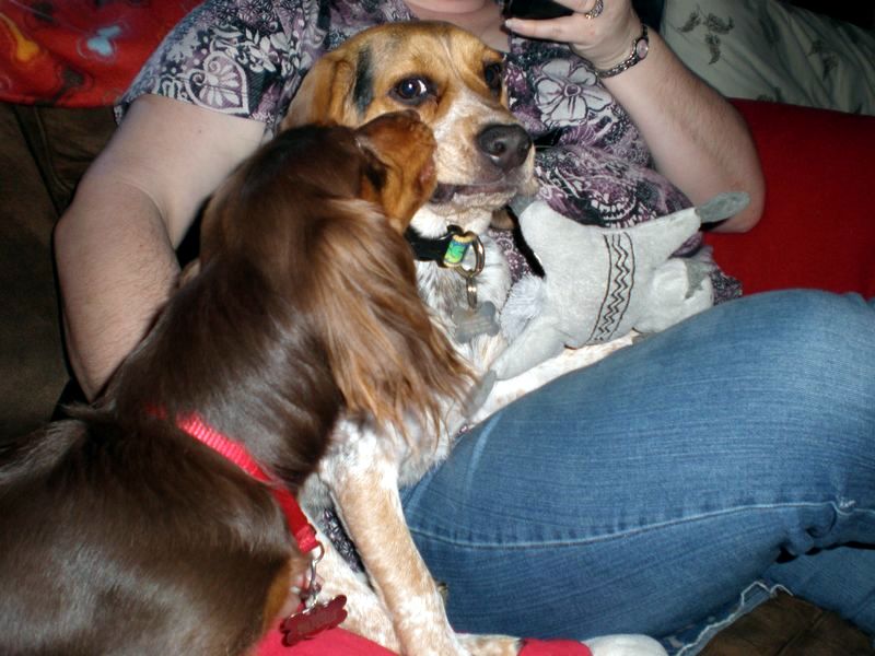 zoey2011-179.JPG