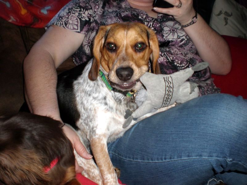 zoey2011-180.JPG