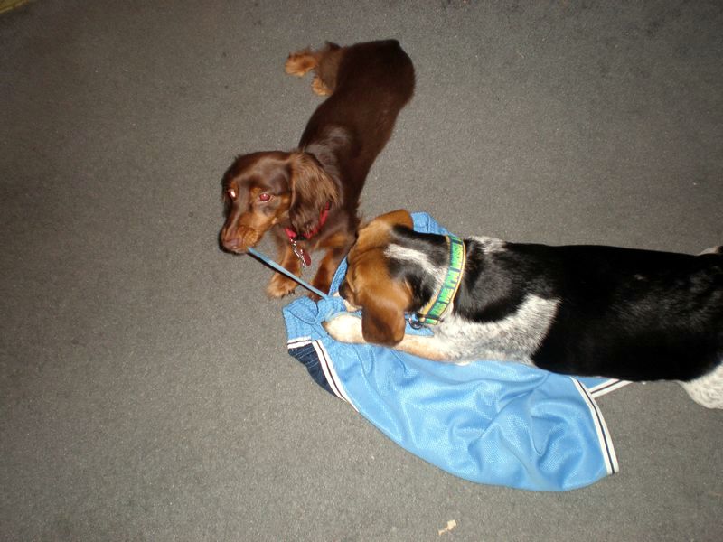 zoey2011-182.JPG