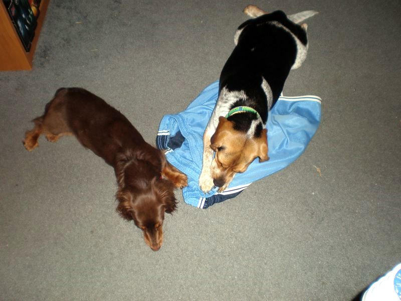 zoey2011-185.JPG