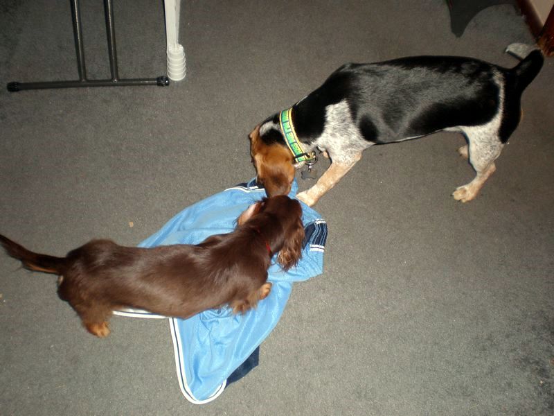 zoey2011-186.JPG