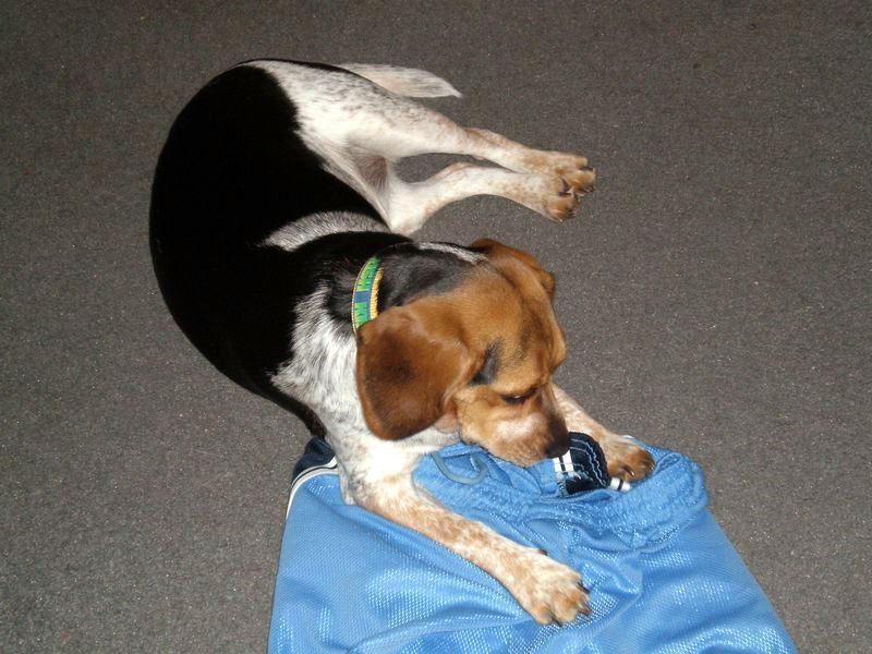 zoey2011-188.JPG