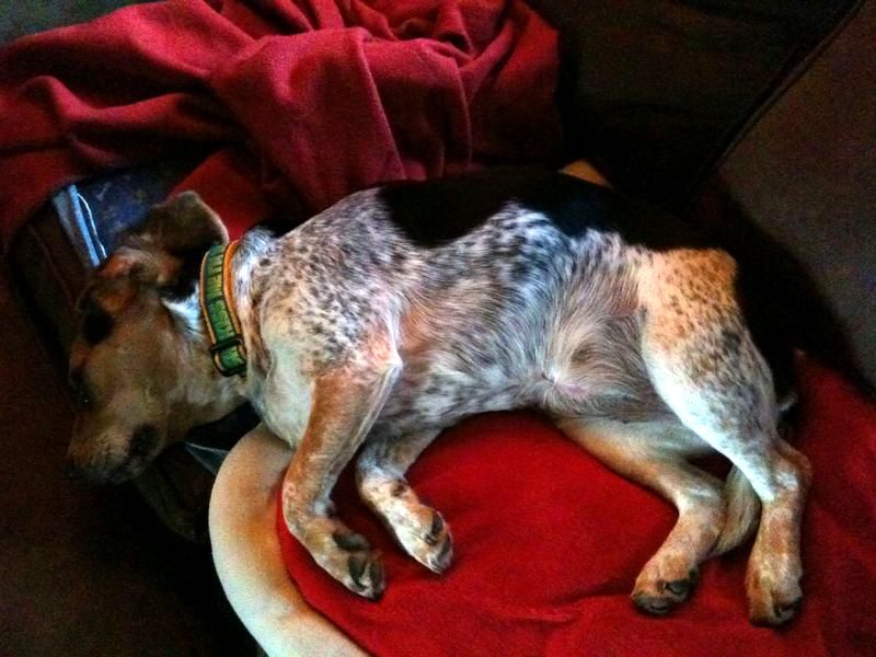 zoey2011-189.JPG