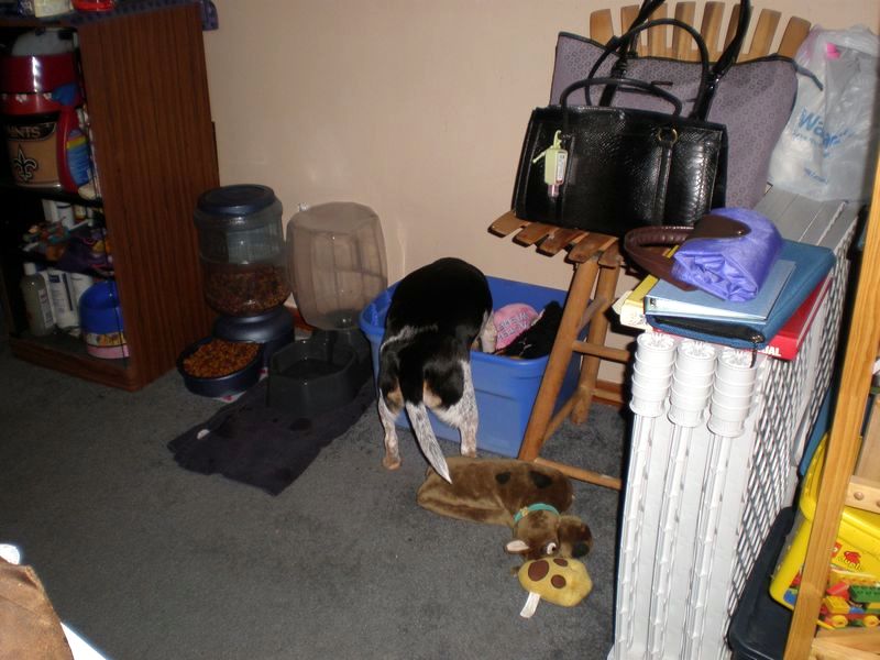 zoey2011-190.JPG