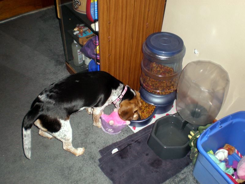 zoey2011-191.JPG