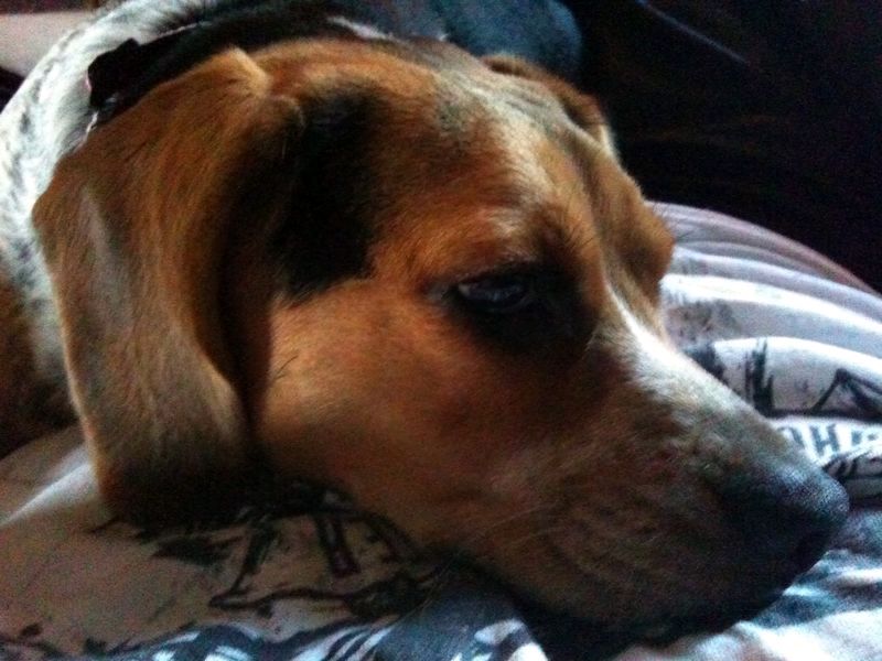 zoey2011-192.JPG