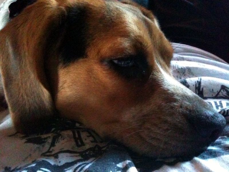 zoey2011-193.JPG