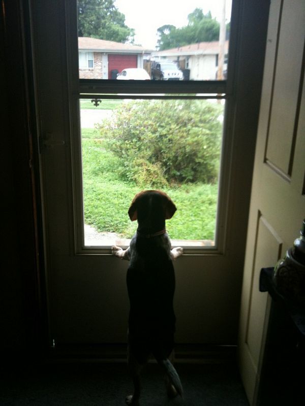 zoey2011-194.JPG