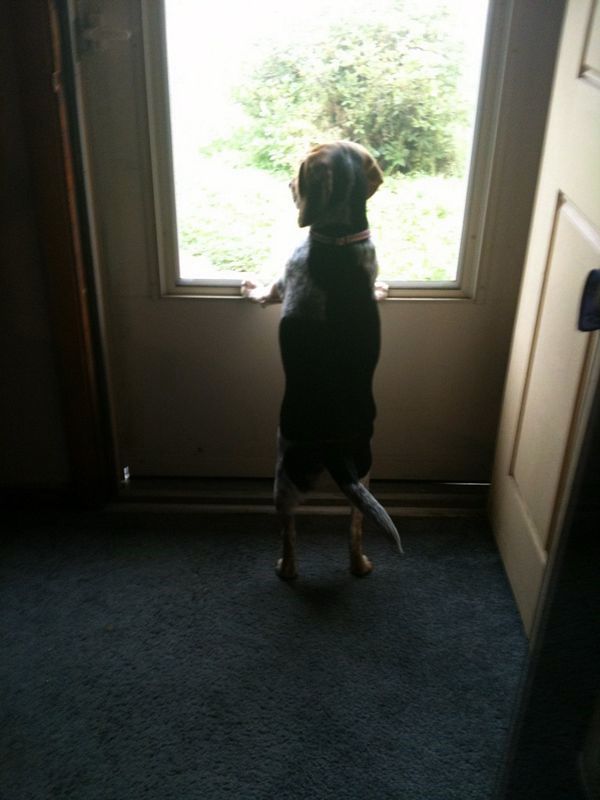 zoey2011-195.JPG