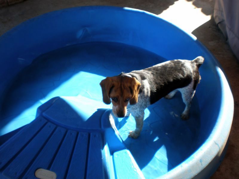 zoey2011-203.JPG