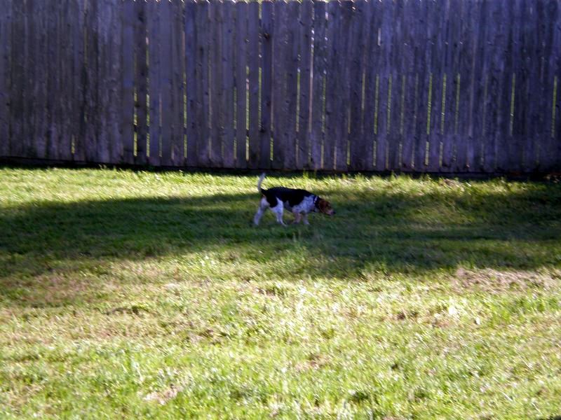 zoey2011-207.JPG