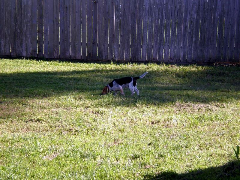 zoey2011-208.JPG