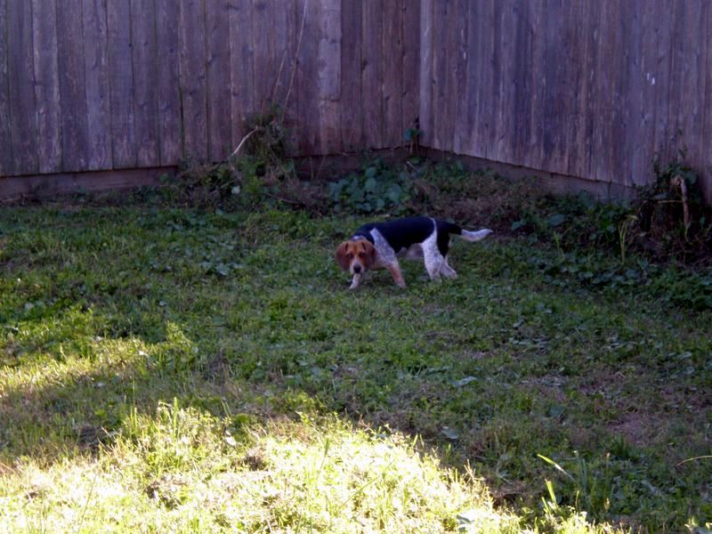 zoey2011-211.JPG