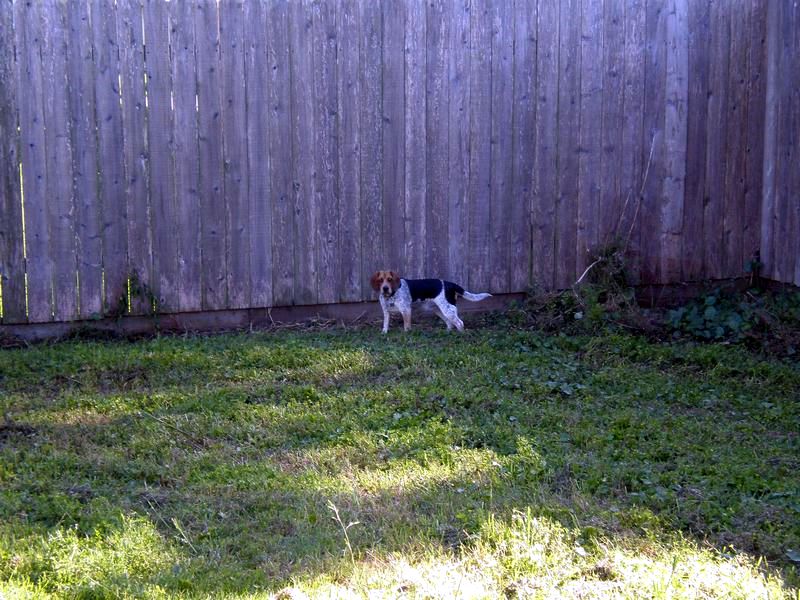 zoey2011-212.JPG