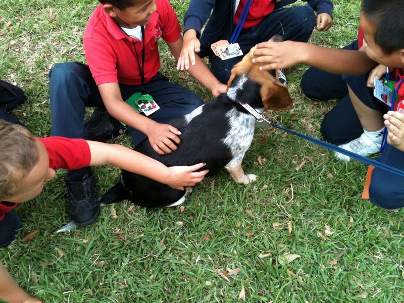 zoey2011-219.JPG