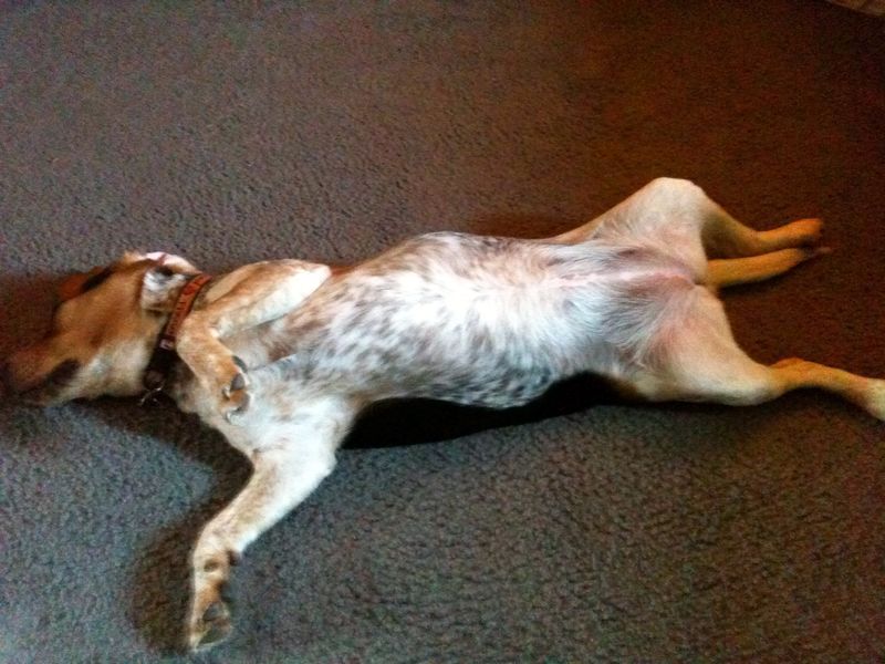 zoey2011-223.JPG