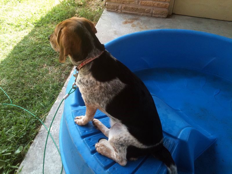 zoey2011-225.JPG