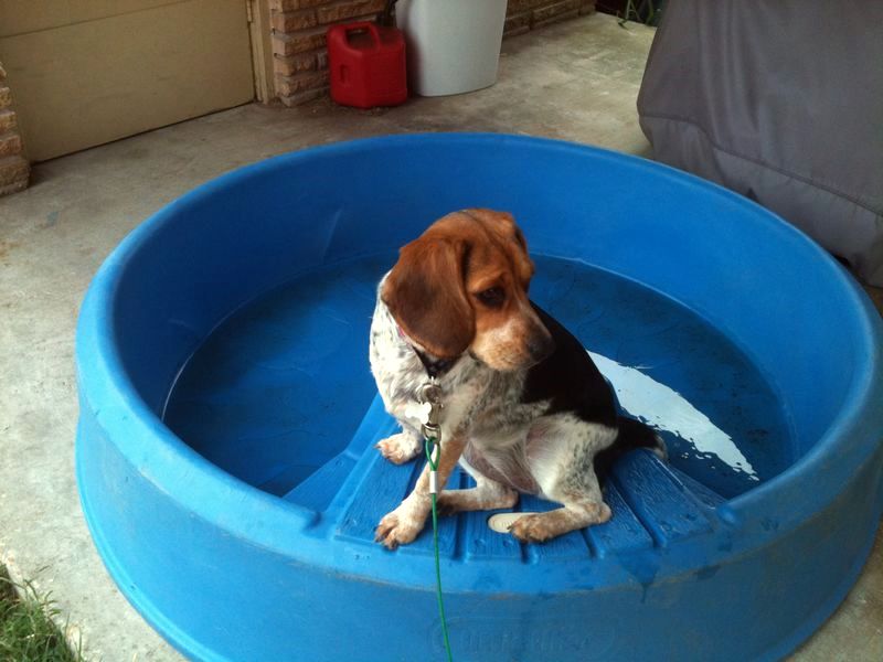 zoey2011-227.JPG