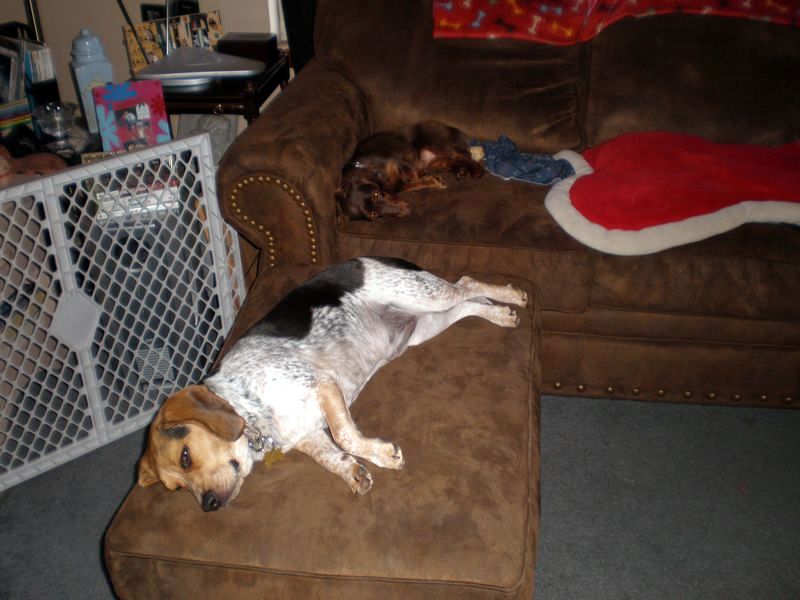 zoey2011-236.JPG