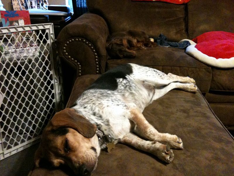 zoey2011-237.JPG