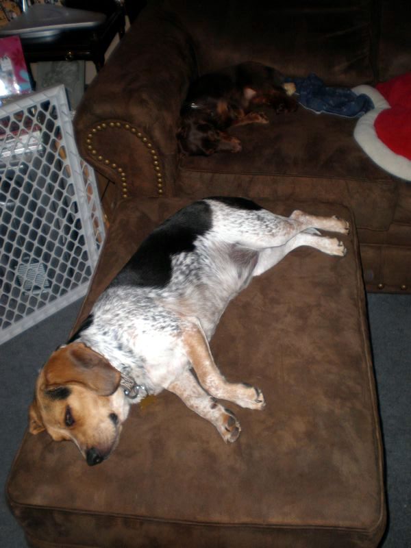 zoey2011-239.JPG