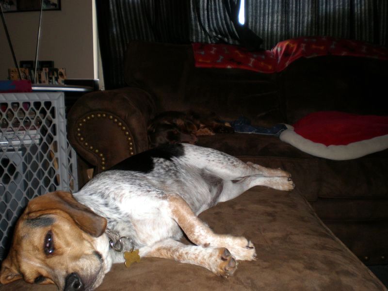 zoey2011-240.JPG