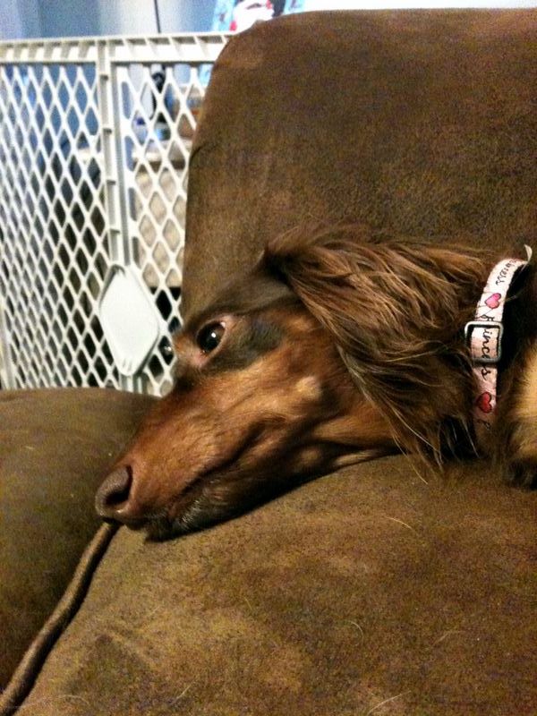 zoey2011-242.JPG