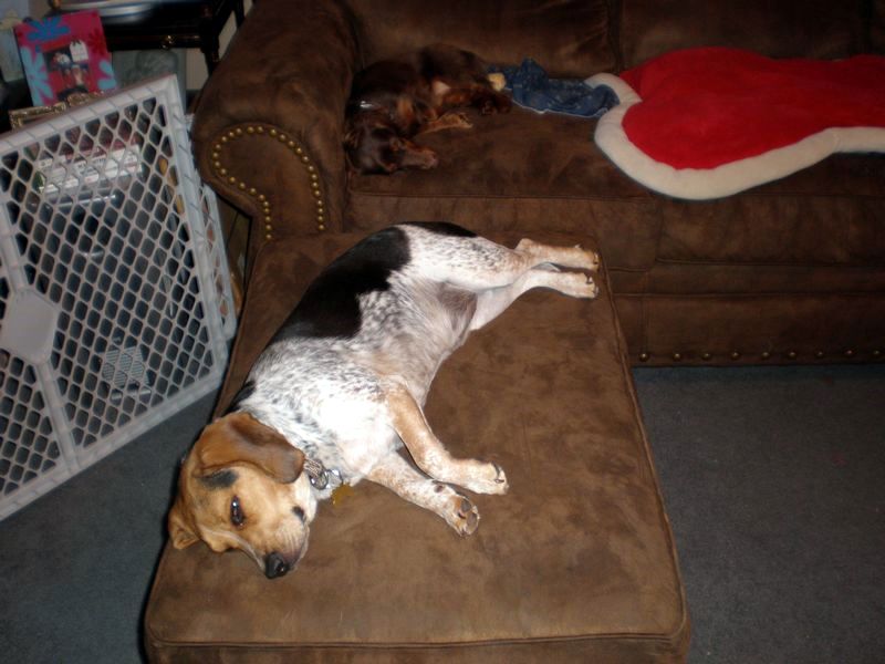 zoey2011-244.JPG