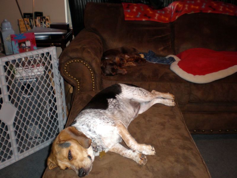 zoey2011-247.JPG