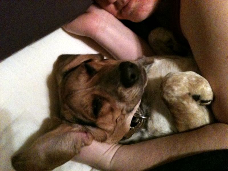 zoey2011-248.JPG
