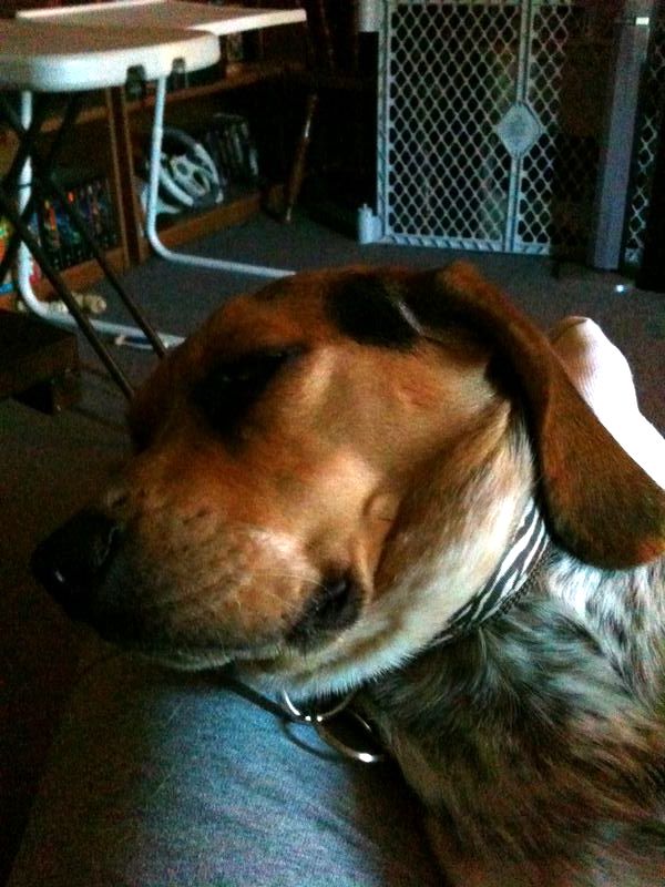 zoey2011-254.JPG