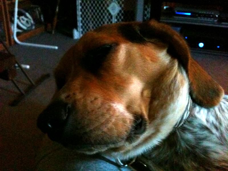 zoey2011-255.JPG