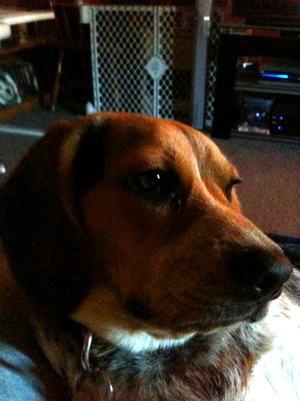 zoey2011-261.JPG