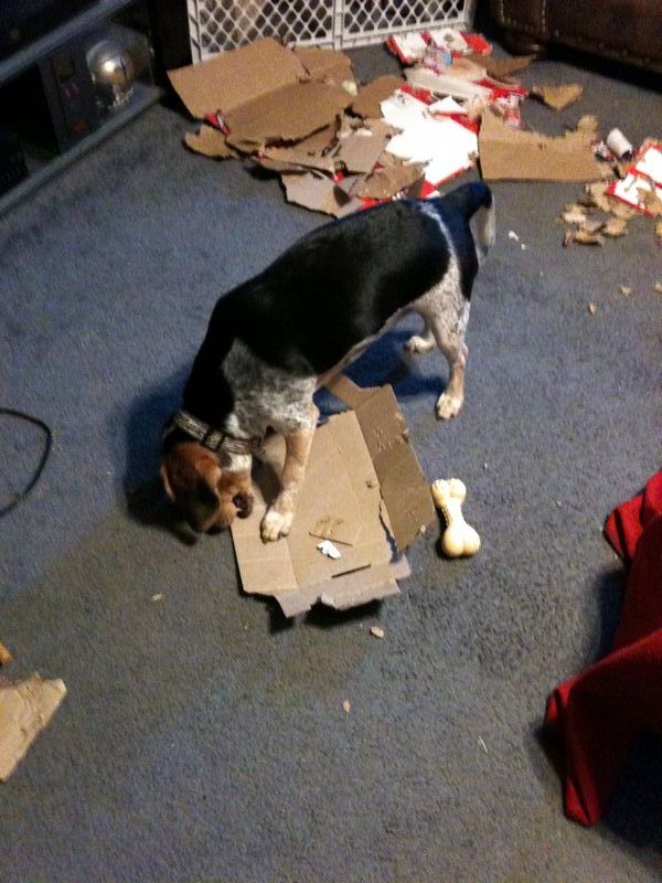 zoey2011-264.JPG
