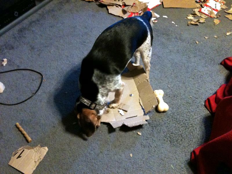 zoey2011-265.JPG