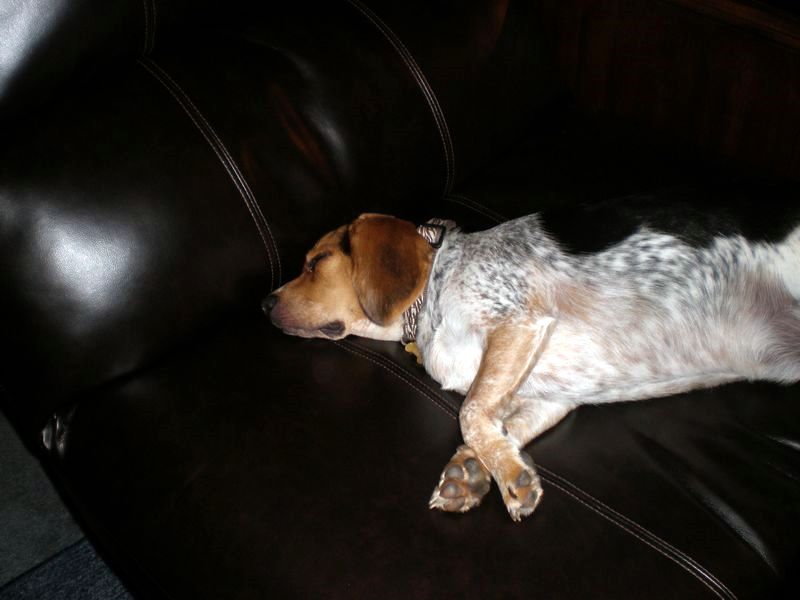 zoey2011-272.JPG