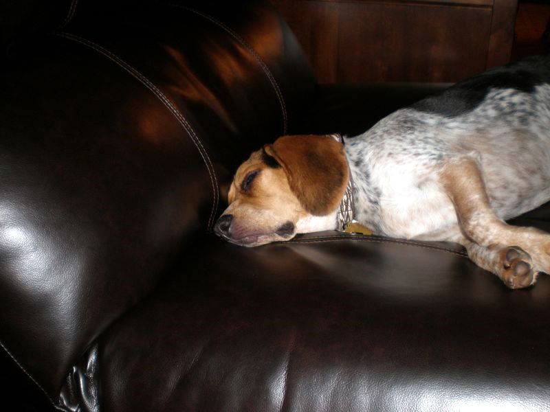 zoey2011-273.JPG