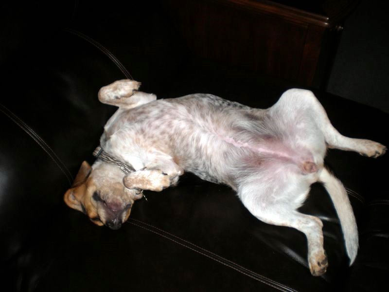 zoey2011-274.JPG