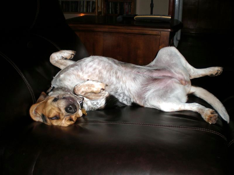 zoey2011-275.JPG