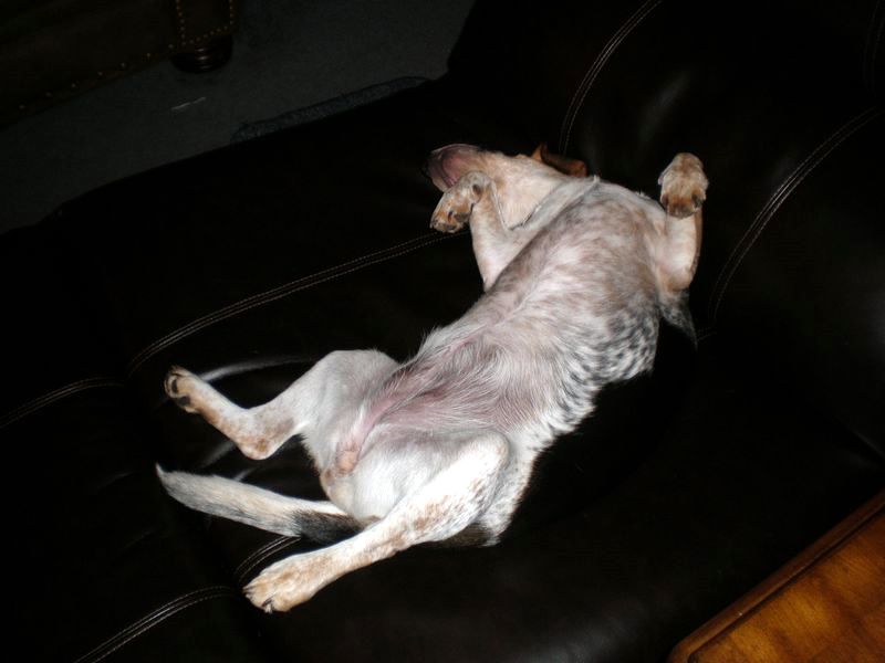 zoey2011-275a.JPG