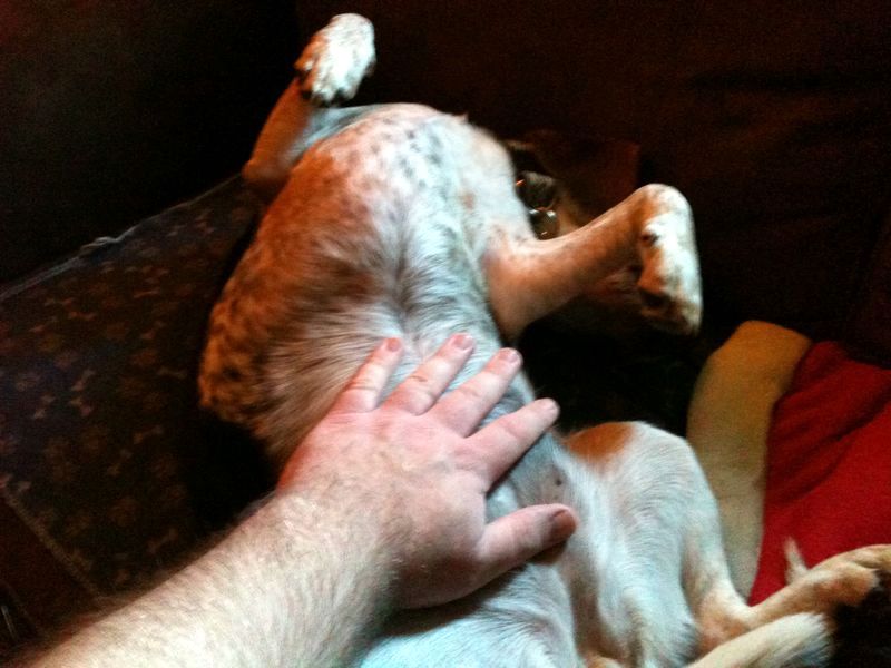 zoey2011-276.JPG
