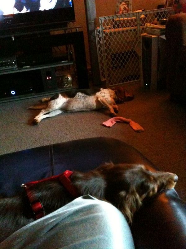 zoey2011-279.JPG