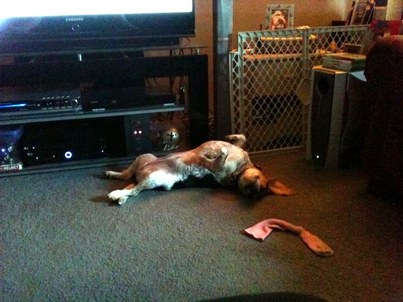 zoey2011-280.JPG