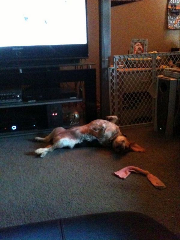 zoey2011-281.JPG